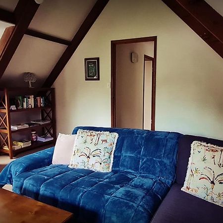 ספרינגברוק Dancing Waters Cottage מראה חיצוני תמונה